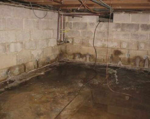How To Fix A Wet Basement Family, How To Deal With A Wet Basement