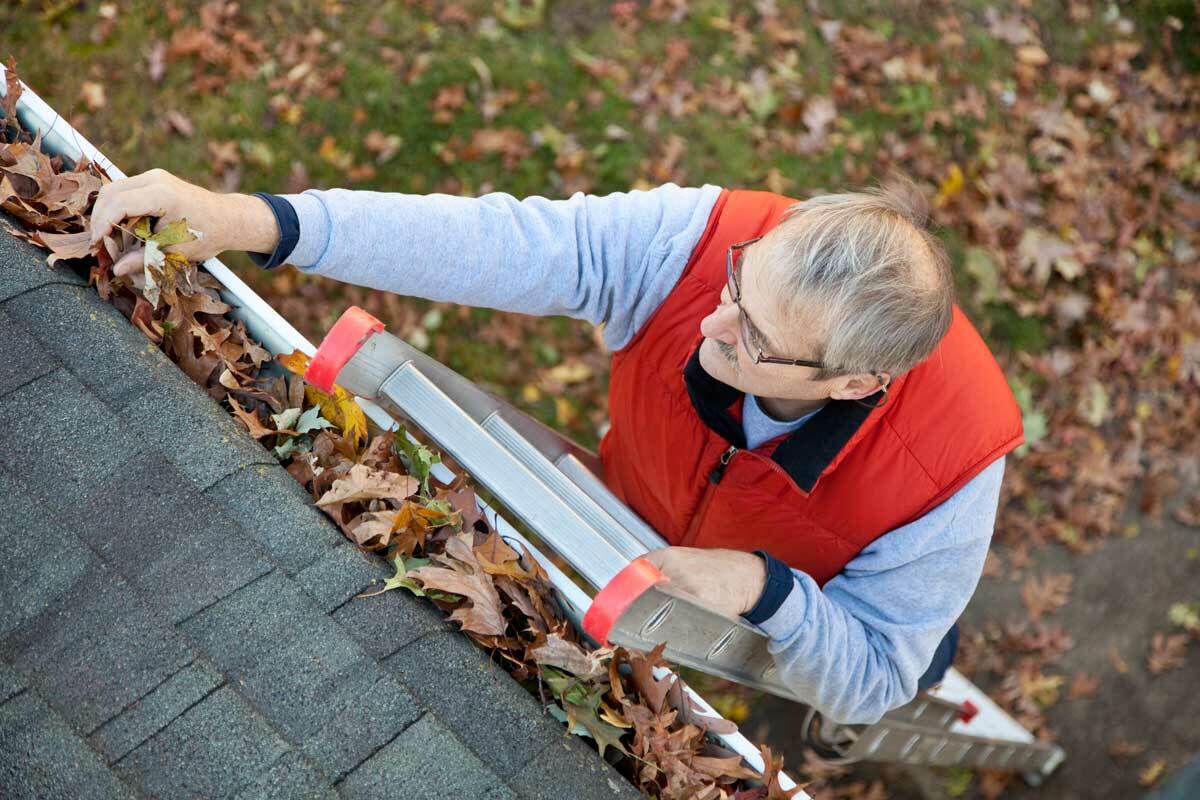 A Complete Guide to Gutter Inspections for Homeowners