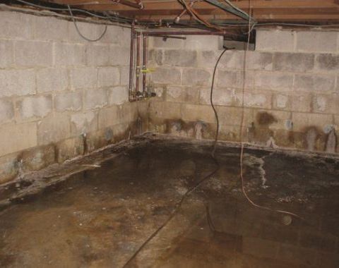 How to fix a wet basement | Family Waterproofing